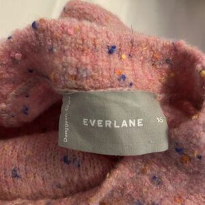 Everlane Wool Pink Multicolor Sweater